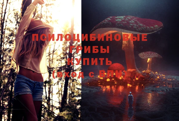 ALPHA PVP Белокуриха